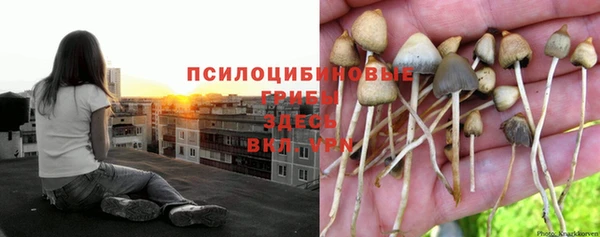 шишки Вязьма