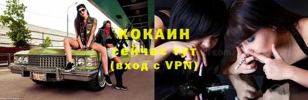 стафф Вяземский