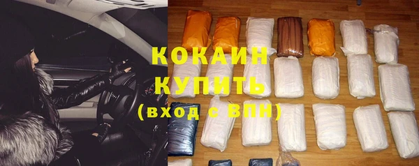шишки Вязьма