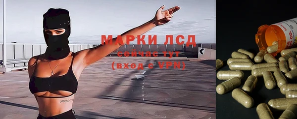шишки Вязьма