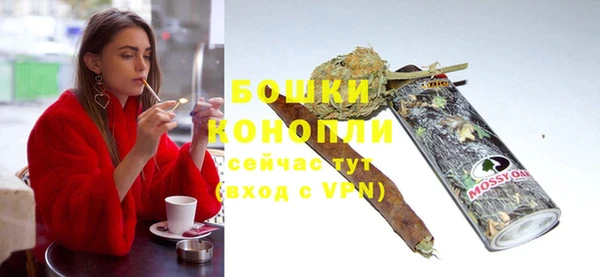 стафф Вяземский