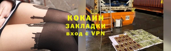 шишки Вязьма