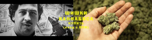 шишки Вязьма