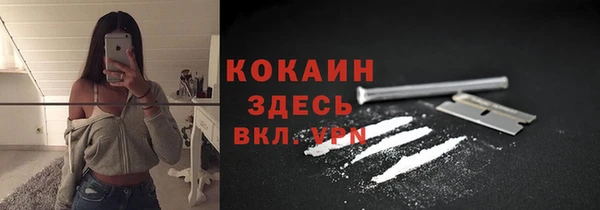 шишки Вязьма