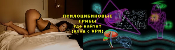 шишки Вязьма