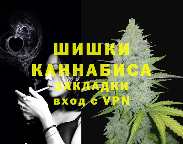 шишки Вязьма